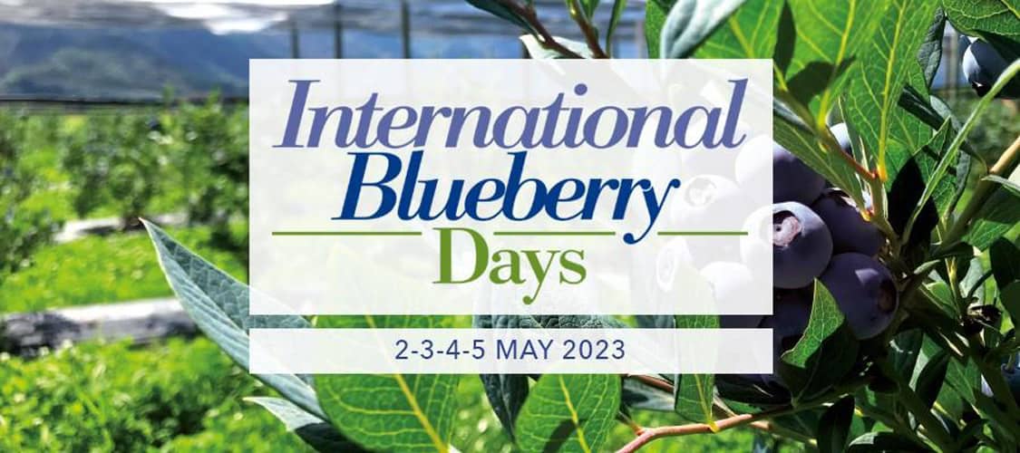 Macfrut 2023: All’International Blueberry Days il case history del Portogallo