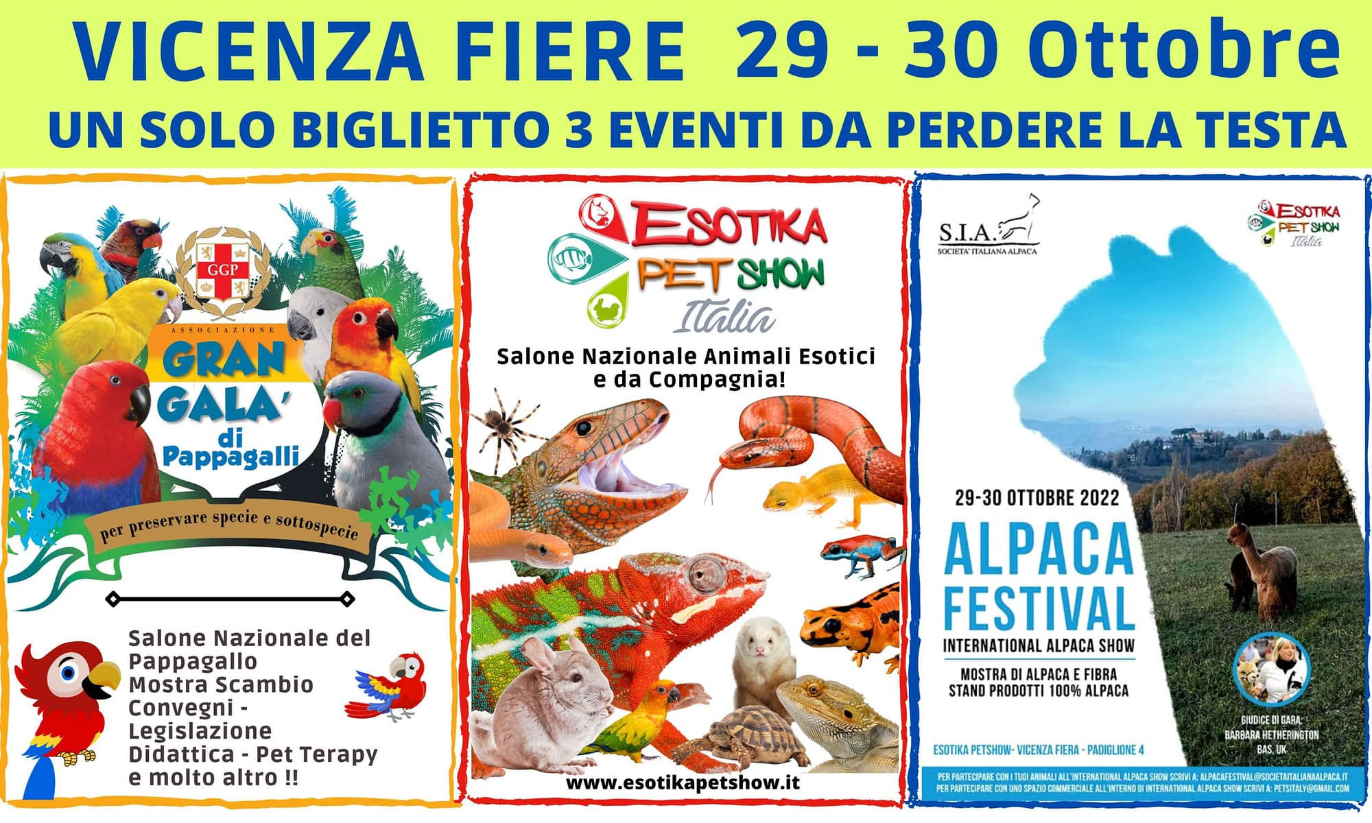 Esotika Pet Show a Vicenza il 29 e 30 Ottobre