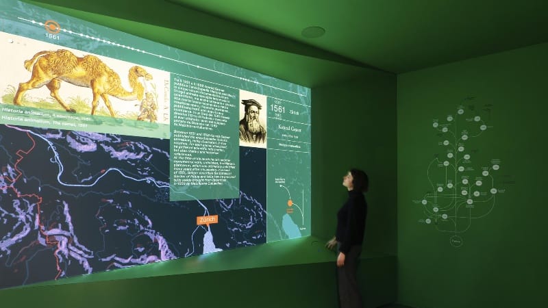 Dotdotdot progetta cinque installazioni digitali interattive per scoprire l’Orto botanico dell’Università di Padova
