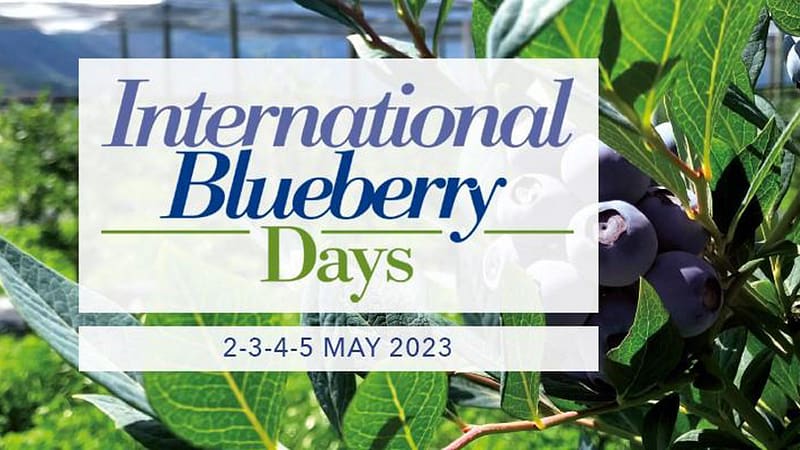 Macfrut 2023: All’International Blueberry Days il case history del Portogallo