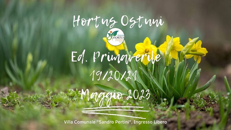 Hortus Ostuni primavera 2023: molto più di una mostra mercato all’insegna della bellezza di piante e fiori