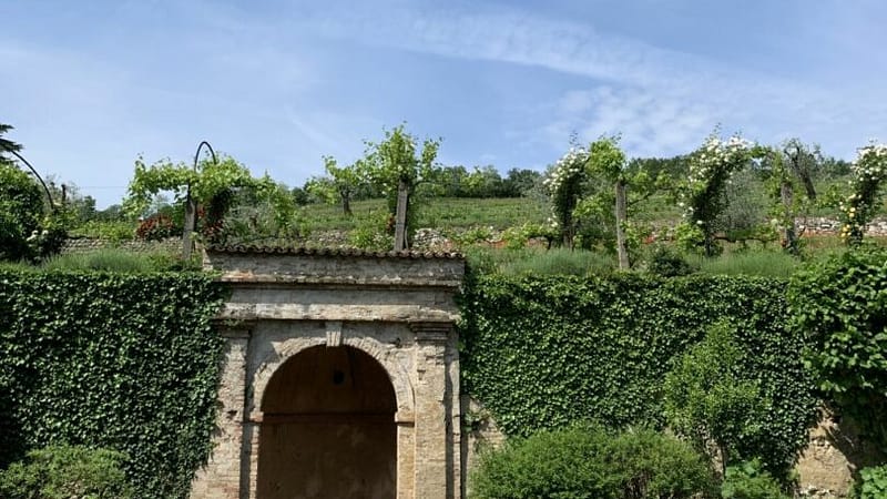 Vinitaly, il turismo del vino coinvolge 13,4 milioni di italiani