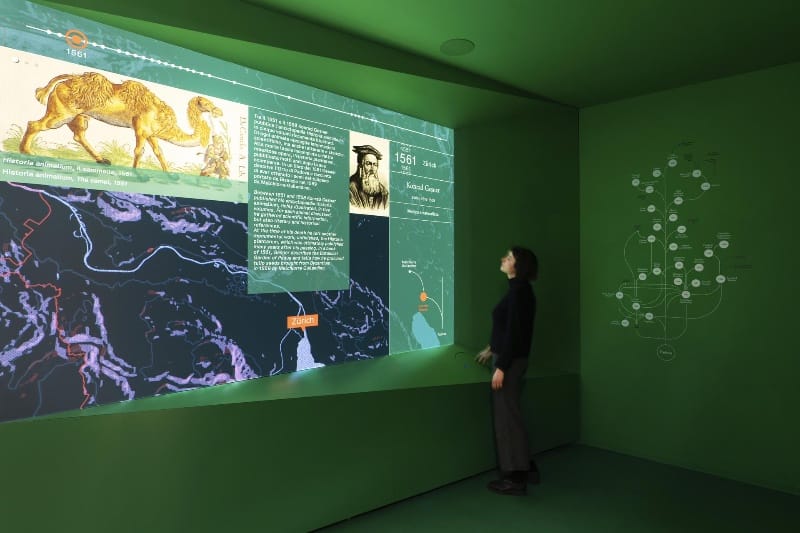 Dotdotdot progetta cinque installazioni digitali interattive per scoprire l’Orto botanico dell’Università di Padova
